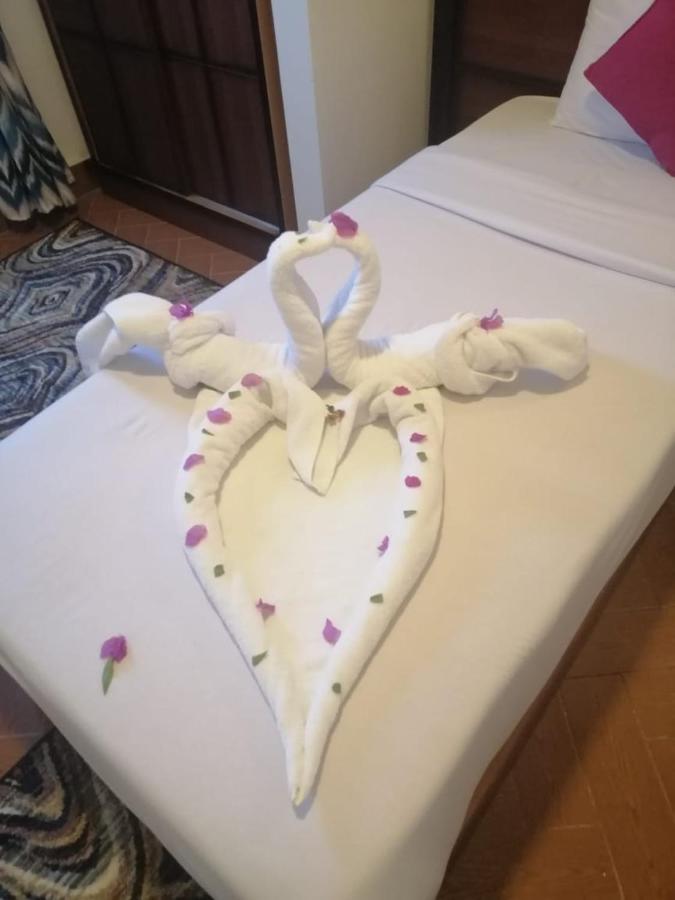Dolphin Hotel Kuszeir Kültér fotó